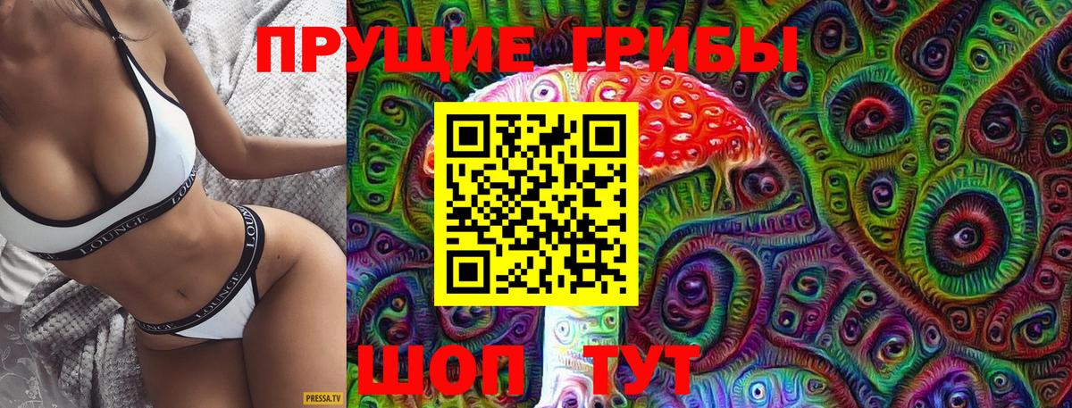 Королёв  где найти   Галлюциногенные грибы прущие грибы  Вход с VPN  Галлюциногенные грибы прущие грибы 
